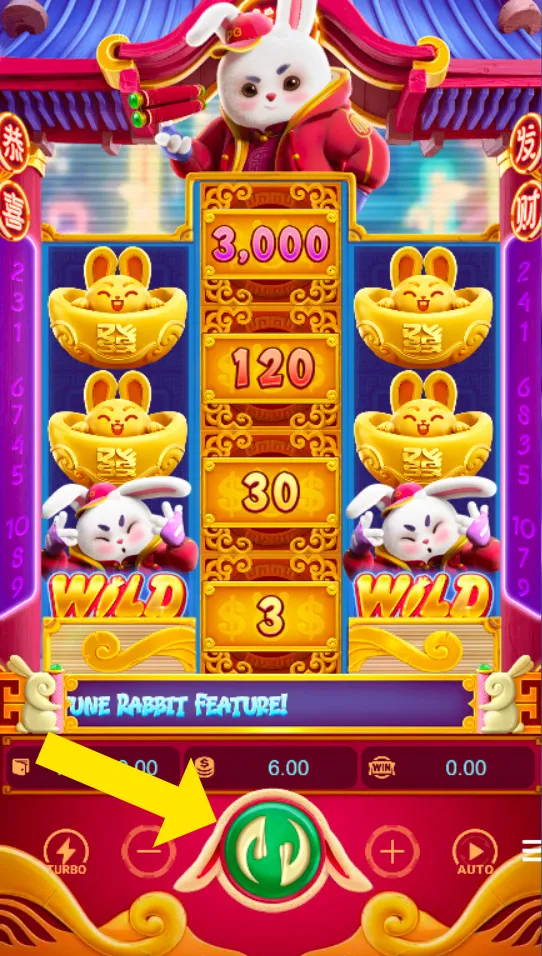 Fortune Rabbit Slot Game Interface